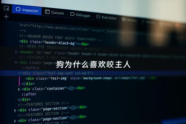 狗为什么喜欢咬主人 - 狗为什么喜欢咬主人的东西