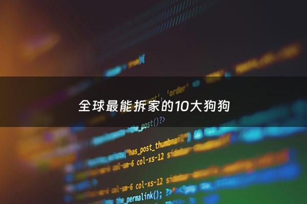 全球最能拆家的10大狗狗 - 全球最能拆家的10大狗狗品种