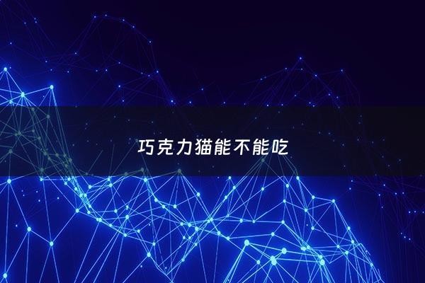 巧克力猫能不能吃 - 猫能吃巧克力啊