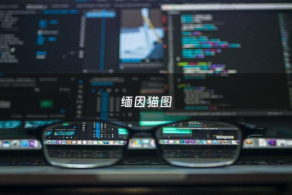 缅因猫图 - 缅因猫