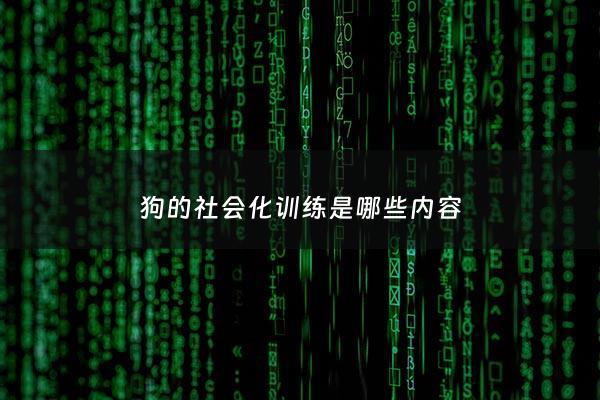 狗的社会化训练是哪些内容 - 狗狗社会化不足怎么办
