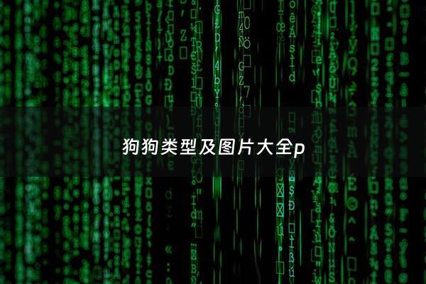 狗狗类型及图片大全p - 狗种类图鉴