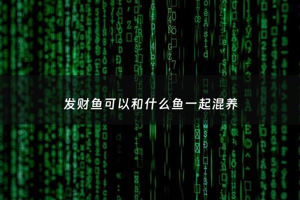 发财鱼可以和什么鱼一起混养 - 发财鱼跟什么可以一起养吗