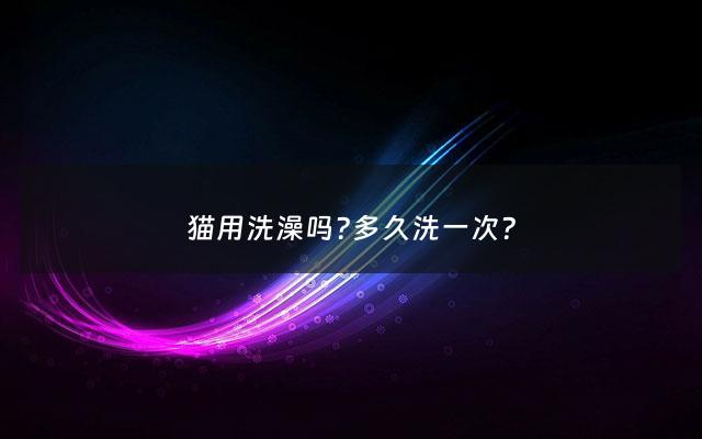 猫用洗澡吗?多久洗一次? - 猫要洗澡吗 知乎