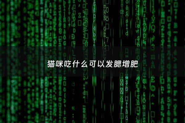 猫咪吃什么可以发腮增肥 - 增肥最快最有效的***