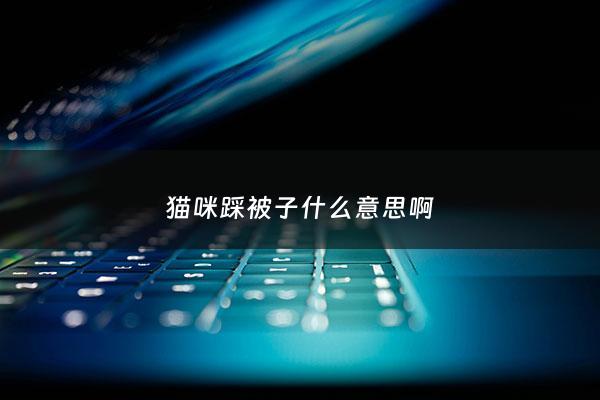 猫咪踩被子什么意思啊 - 猫咪 踩被子