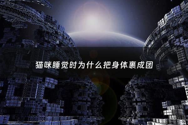 猫咪睡觉时为什么把身体裹成团 - 猫咪睡觉的时候为什么蜷着身子