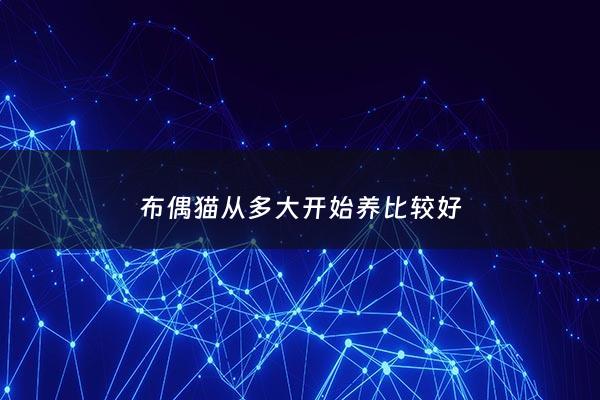 布偶猫从多大开始养比较好 - 布偶猫多大的时候最好看