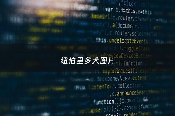 纽伯里多犬图片 - 纽伯里战役