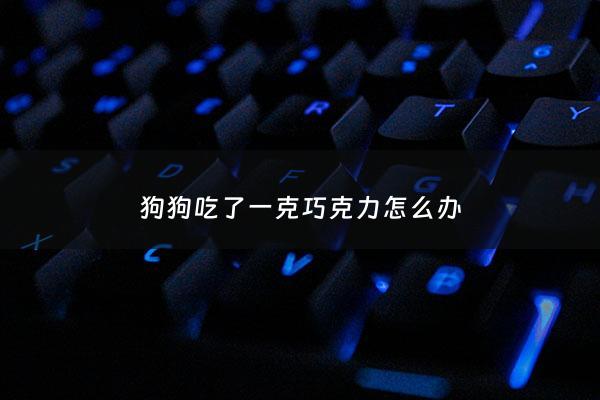 狗狗吃了一克巧克力怎么办 - 狗狗吃了一克巧克力怎么办没事吧