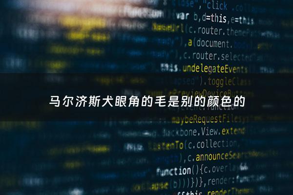 马尔济斯犬眼角的毛是别的颜色的 - 马尔济斯犬有泪沟了怎么办