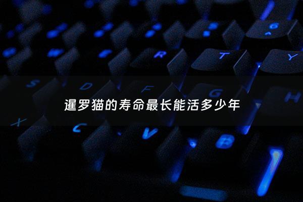 暹罗猫的寿命最长能活多少年 - 暹罗猫一般能活几年