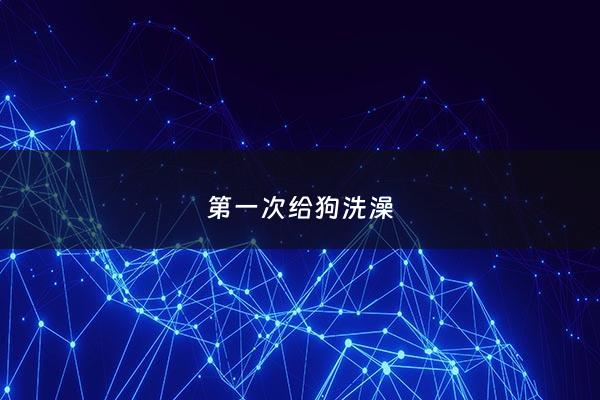 第一次给狗洗澡 - 宠物第一次洗澡