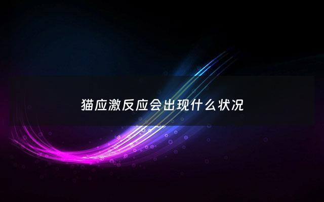 猫应激反应会出现什么状况 - 猫应激反应会有什么后果