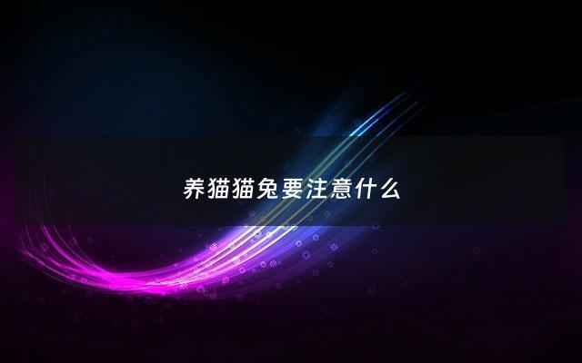 养猫猫兔要注意什么 - 猫猫兔养法