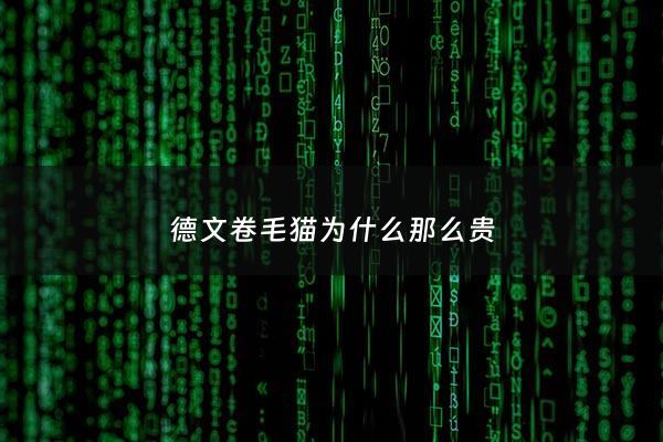 德文卷毛猫为什么那么贵 - 德文卷毛猫优点缺点
