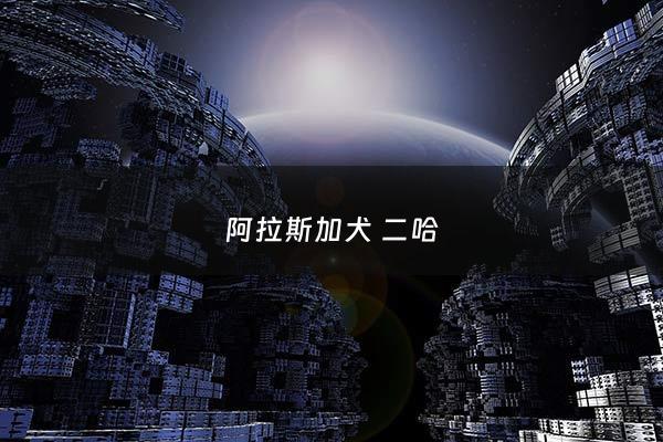 阿拉斯加犬 二哈 - 阿拉斯加狗和二哈狗有啥不一样