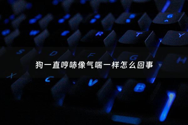 狗一直哼哧像气喘一样怎么回事 - 狗狗喘气急促一招解除