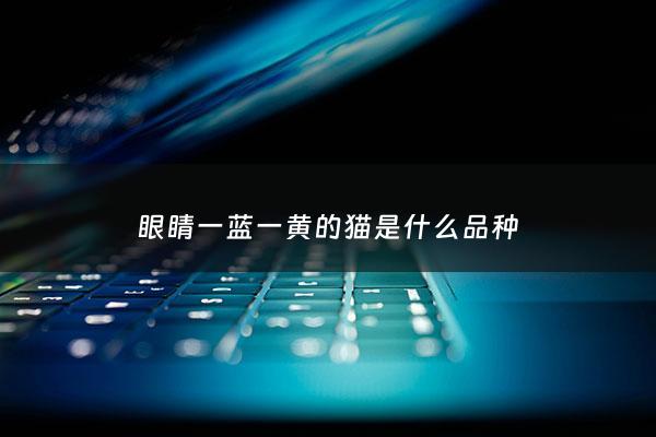 眼睛一蓝一黄的猫是什么品种 - 眼睛一个蓝色一个***是什么猫