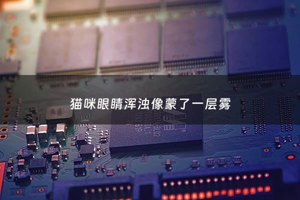 猫咪眼睛浑浊像蒙了一层雾 - 猫咪眼睛浑浊像蒙了一层雾怎么回事