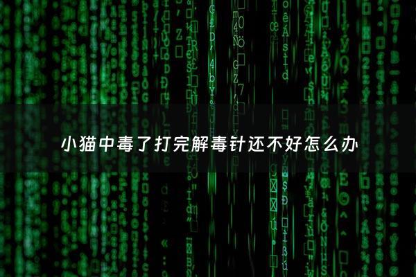 小猫中毒了打完解毒针还不好怎么办 - 猫中毒后打***毒针能活下来吗