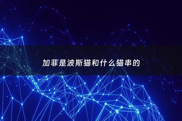 加菲是波斯猫和什么猫串的 - 加菲跟波斯猫啥关系