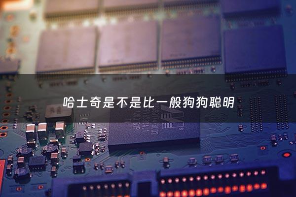 哈士奇是不是比一般狗狗聪明 - 哈士奇狗聪明不聪明