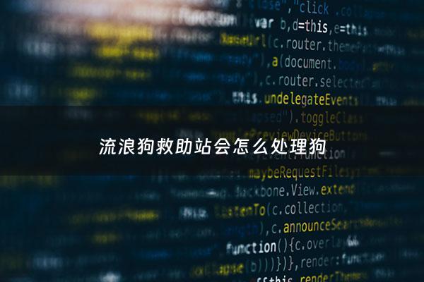 流浪狗救助站会怎么处理狗 - 流浪狗救助中心怎么***