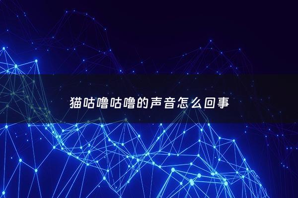 猫咕噜咕噜的声音怎么回事 - 猫咕噜咕噜怎么回事儿