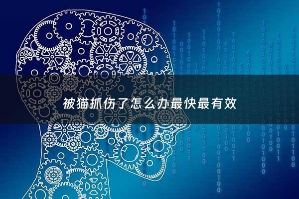 被猫抓伤了怎么办最快最有效 - 被猫抓伤怎么治疗