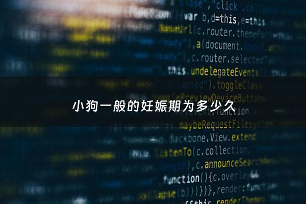 小狗一般的妊娠期为多少久 - 小狗妊娠几个月生