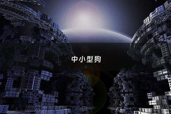 中小型狗 - 中小型狗狗有哪些品种