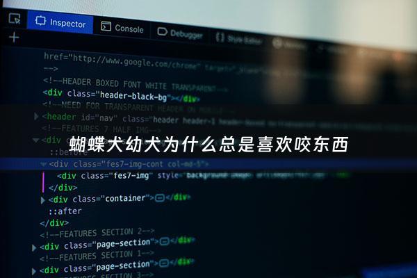 蝴蝶犬幼犬为什么总是喜欢咬东西 - 蝴蝶犬爱叫吗?好养吗?