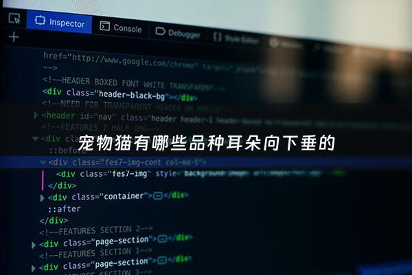 宠物猫有哪些品种耳朵向下垂的 - 猫的耳朵耷拉着是什么品种