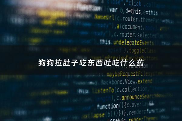 狗狗拉肚子吃东西吐吃什么药 - 狗拉肚呕吐吃什么药