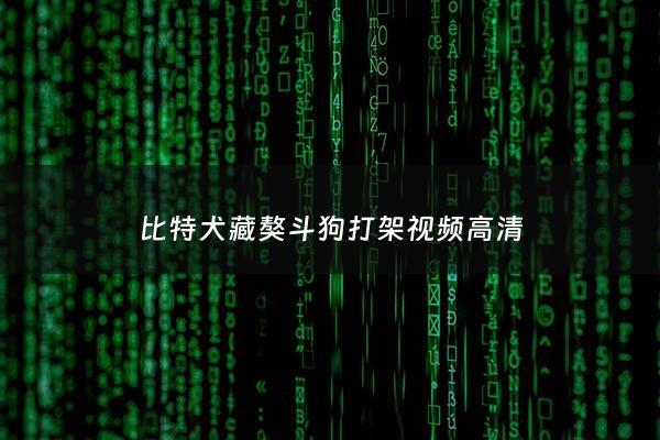 比特犬藏獒斗狗打架***高清 - 比特犬藏獒打架谁厉害