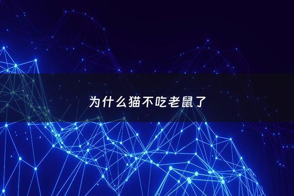为什么猫不吃老鼠了 - 有些猫为什么不吃老鼠