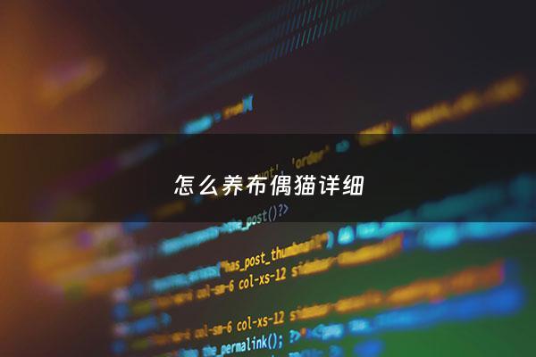 怎么养布偶猫详细 - 怎样才能养好布偶猫