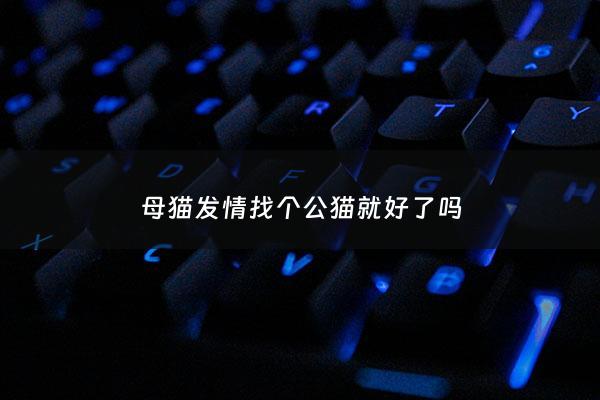 母猫***找个公猫就好了吗 - 母猫***需要和公猫分开吗