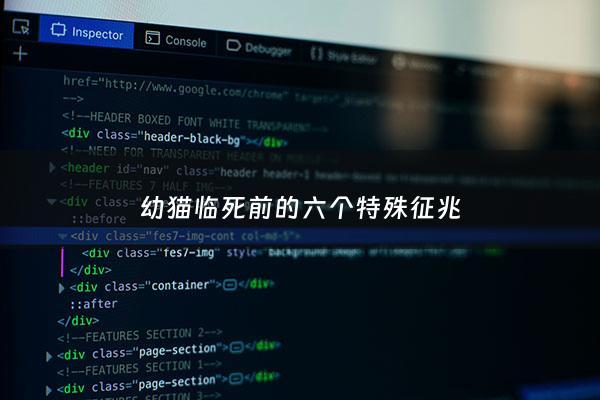 幼猫临死前的六个特殊征兆 - 幼猫临死前的六个特殊征兆是什么