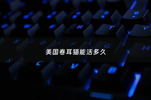 ***卷耳猫能活多久 - ***卷耳猫图片***一只