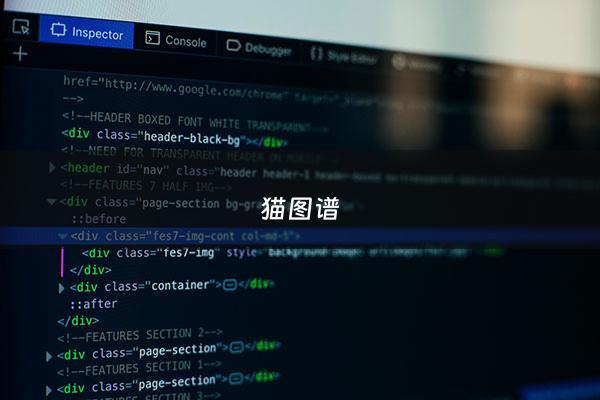 猫图谱 - 大班音乐老鼠画猫图谱