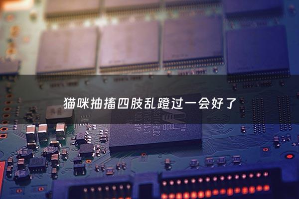 猫咪抽搐四肢乱蹬过一会好了 - 猫咪抽搐四肢乱蹬过一会好了正常吗