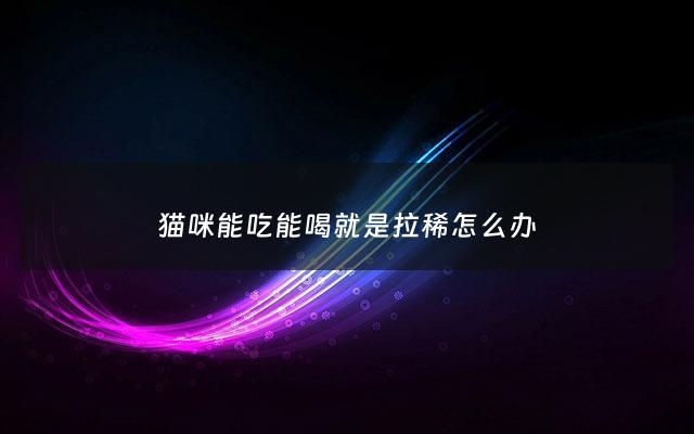 猫咪能吃能喝就是拉稀怎么办 - 猫咪能吃能喝但是便秘怎么办