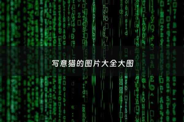 写意猫的图片大全大图 - 写意画猫的画法