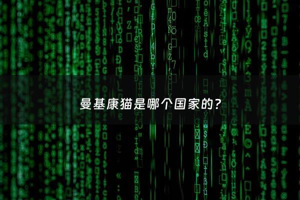 曼基康猫是哪个***的? - 曼基康猫缺点和优点