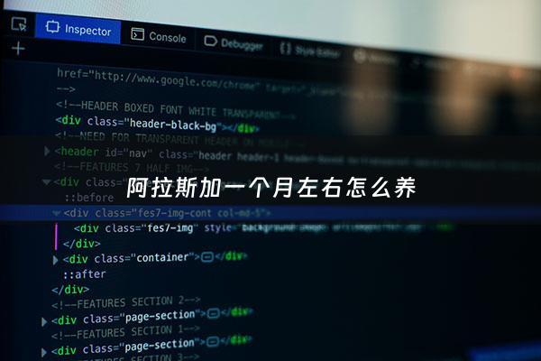 阿拉斯加一个月左右怎么养 - 阿拉斯加好不好养,一个月要***