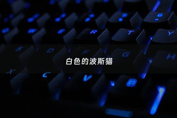 白色的波斯猫 - 白色的波斯猫取什么名字可爱