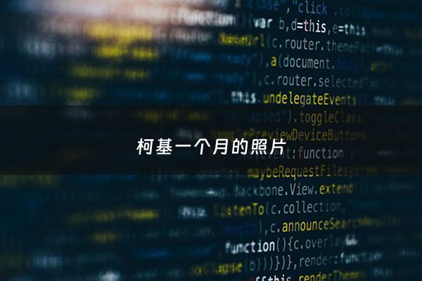 柯基一个月的照片 - 柯基犬一个月的样子