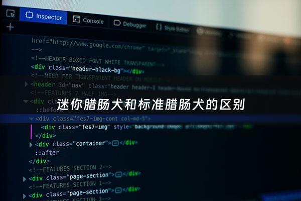 迷你腊肠犬和标准腊肠犬的区别 - 迷你型腊肠犬